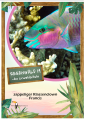 OPAL Regenwald 19 - kolor 11335