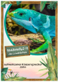OPAL Regenwald 19 - kolor 11337