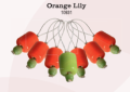 ORANGE LILY