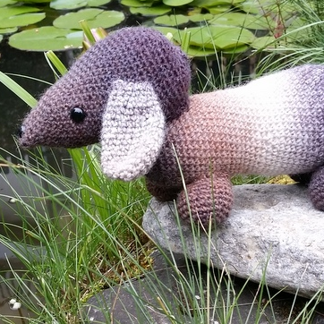 Brązowy jamnik by Michele Wilcox